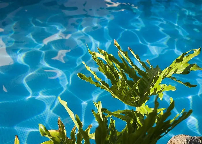 Piramides Hotel Playa de las Américas