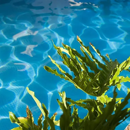 Piramides Hotel Playa de las Américas